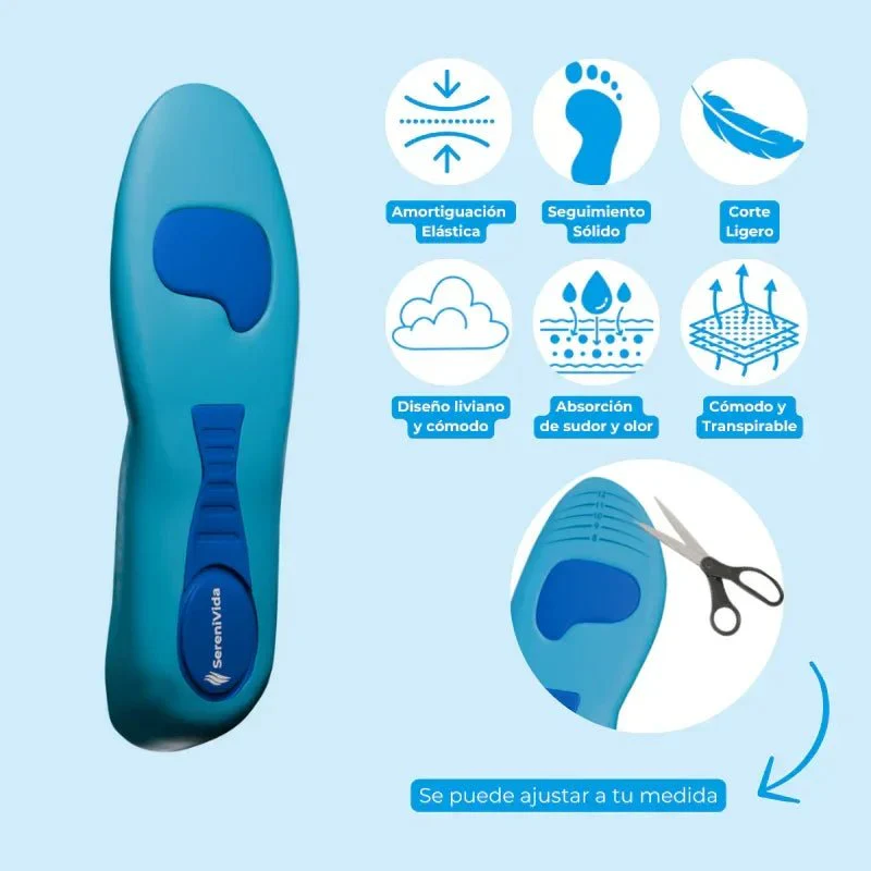 Características de la plantilla